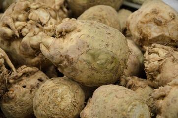 Fototapeta na wymiar Close-up of ugly celery root on counter farm market. Popular and affordable vegetables in the supermarket. Organic vegetables for vegetarian food.
