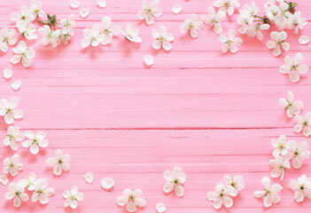 Naklejka na ściany i meble white cherry flowers on pink wooden background