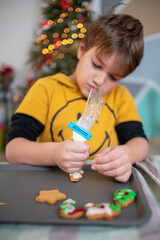 Caucasian boy decorating christmas gingerbread cookies at home, using a pastry bag