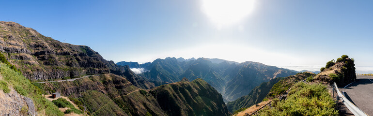 Urwald auf Madeira