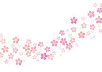 Obraz na płótnie Canvas 桜の花がまとまって列をなす色鉛筆調イラスト no.02 