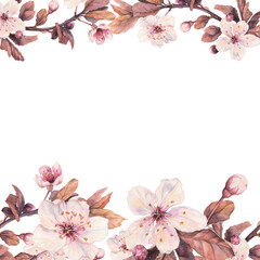 Pink cherry blossom frame. Watercolor handmade illustration
