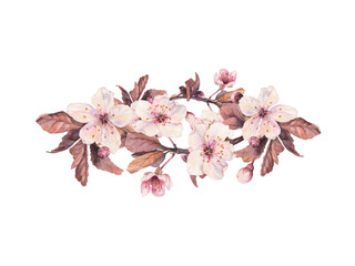 Obraz na płótnie Canvas Pink cherry blossom. Watercolor illustration