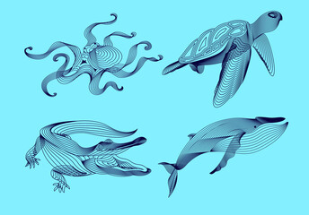 Set marine graphic animals. illustration. The whale,  crocodile, octopus, turtle consist of lines.Digital elements design  for business cards, invitations, gift cards, flyers and brochures, web.