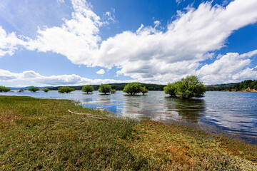Fototapeta premium Cecita Lake in the Sila National Park, Calabria, Italy