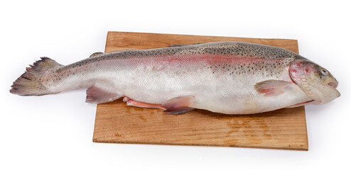 Fresh uncooked rainbow trout on the wooden cutting board