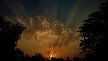 sunset in the forest on a cloudy day for wallpaper, background, projects, banners