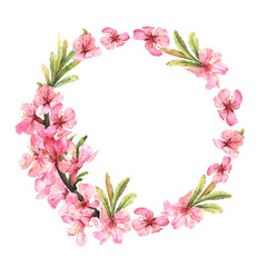 Fototapeta na wymiar Frame of flowers. Watercolor illustration of almond blossom branch