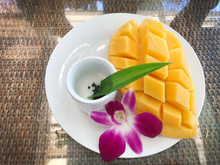 Top view of Mango and sticky rice with coconut milk, one of the most famous dish for Thai dessert in Thailand 