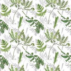 Seamless pattern with green ferns. Watercolor illustration