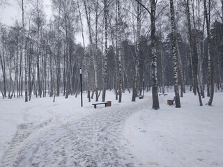 Зимний парк, лавочки, фонари, много снега, дорожка в снегу
