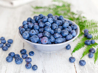 Freshly picked blueberries in a bowl with fresh leaves