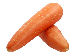 carrot isolated on white background