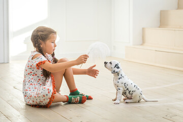 Little girl playing with white feather dalmatian puppy