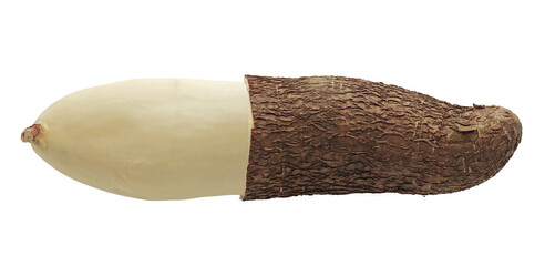 Cassava root isolated on white background