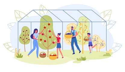 Seasonal Fruit Picking, Family Greenhouse Products