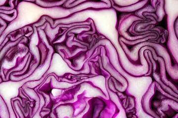 red cabbage close up