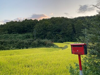 mailbox in the mountains