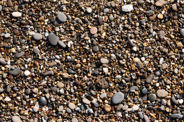 pebbles on the beach close up