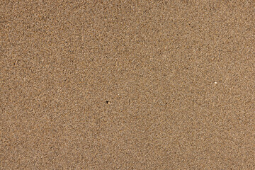 wet sand surface on the beach