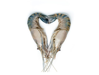 Close up Fresh shrimp and long arm isolated on white background. The giant river prawn on white background. Grilled giant river prawns are popular Thai cuisine.