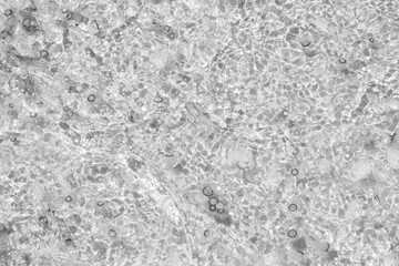 Tiny jelly fish, floating in the water, Balck and White