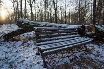 lonely snow-covered bench in winter park at sunset