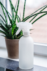 refillable zero waste spray bottle for the kitchen with water,
soda, soap, vinegar essence to clean the ceramic hob 