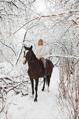 Fototapeta premium Horse and equestrian model girl in winter snow woods 