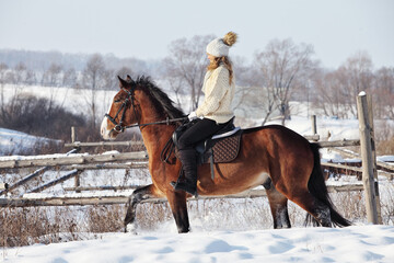 Horse and equestrian model girl in winter snow woods
