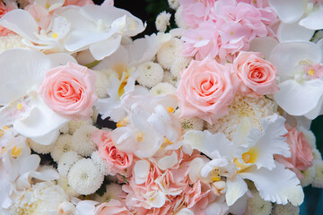 bunch of beautiful colorful dilicated flower