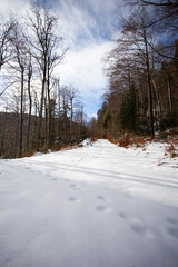 Samarske stijene, beautiful trip place in Croatia in winter. 