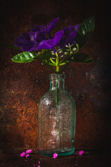 Flowers in a glass vase. Still life dark photo
