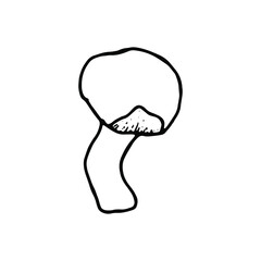 Doodle mushroom. Hand drawn monochrome ink illustration. Vector forest mushroom on white background. Design for culinary books, seasonal menu, prints.