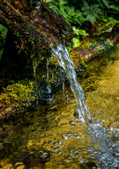 Old Mossy Spring And Fountain With Clear And Cold Mountain Water Running Into Basin
