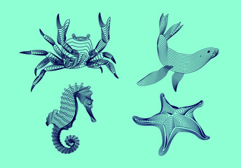 Fototapeta premium Set marine graphic animals. Vector illustration. The crab, starfish, sea horse, seal consist of lines.Digital elements design for business cards, invitations, gift cards, flyers and brochures, web.