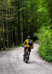 Naklejka premium Young Man On Mountainbike Drives On Gravel Road Through Forest