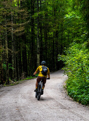 Young Man On Mountainbike Drives On Gravel Road Through Forest