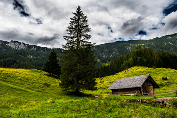 Mountain Chalet On Alpine Pasture In National Park Gesaeuse In The Ennstaler Alps In Austria