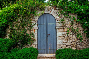 Gray wooden arcade door with metal rivets at vintage style stone wall, covered with tea rose bush branches