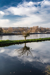 Fototapeta premium Tree reflected on the waters of the river Ticino. Somma Lombardo, Lombardy. Italy