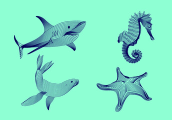 Set marine graphic animals. Vector illustration. The starfish, shark, sea horse, seal consist of lines.Digital elements design  for business cards, invitations, gift cards, flyers and brochures, web.