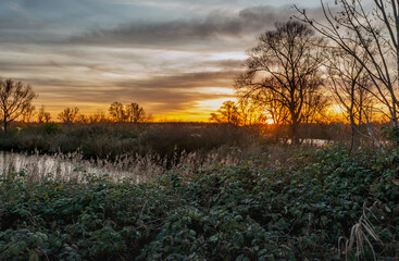 Sunset in the Dutch National Park Biesbosch near the village of Werkendam, North Brabant. The photo was taken at the end of a sunny autumn day. Blackberry bushes are visible in the foreground.