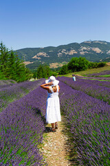 Woman in white dress in a lavander field. Calabria, Italy