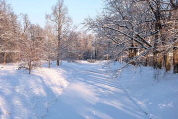 Snowy winter park with frozen river and bridge on  sunny frosty day