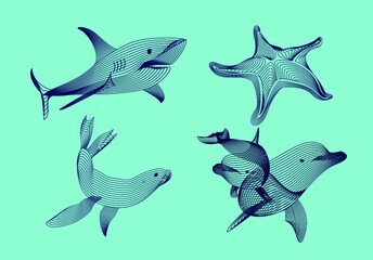 Set marine graphic animals. Vector illustration. The starfish, shark, seal,  dolphin,  consist of lines.Digital elements design  for business cards, invitations, gift cards, flyers and brochures, web.