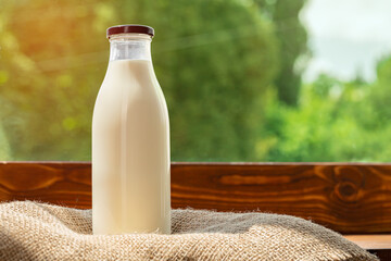 Bottle of milk against the background of green foliage