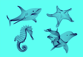 Set marine graphic animals. The starfish, shark, dolphin, sea horse consist of lines.Digital elements design  for business cards, invitations, gift cards, flyers and brochures, web.