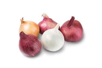 Spanish onion. White, red and yellow bulbs isolated on white background. Angle view