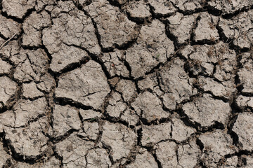 Dry cracked earth - mud, arid place. Cracked land during drought. Global warming